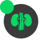 Cirurgia Abdômen